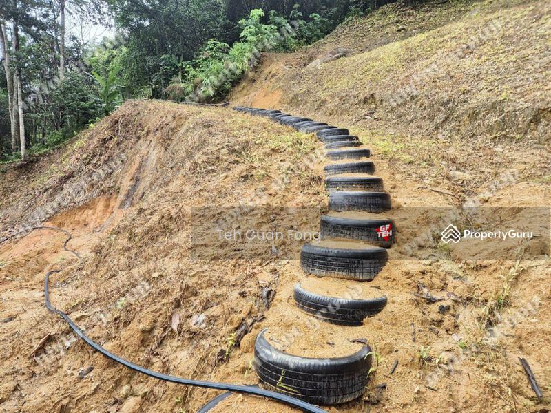 Untuk Dijual - 6.35acres Agricultural Land | Durian Farm | Sungai Lembu | BM | Penang Rm9psf b