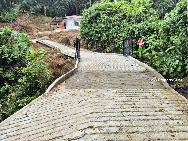Untuk Dijual - 6.35acres Agricultural Land | Durian Farm | Sungai Lembu | BM | Penang Rm9psf b