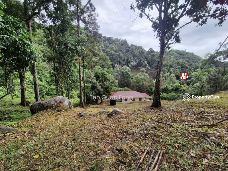 Untuk Dijual - 6.35acres Agricultural Land | Durian Farm | Sungai Lembu | BM | Penang Rm9psf b