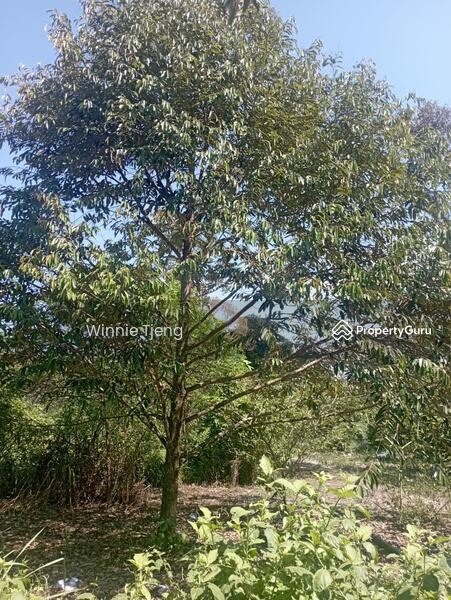 Untuk Dijual - Selangor Kerling SG Jang