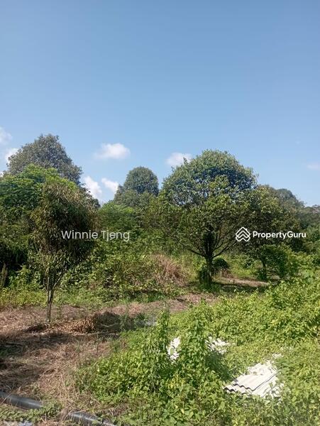 Untuk Dijual - Selangor Kerling SG Jang