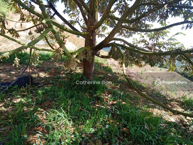 For Sale - Kuala lipis