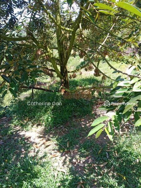 For Sale - Kuala lipis