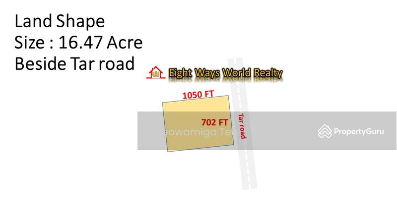 For Sale - 16.5 Acre Palm Oil Land At Sungai Balang Muar,Johor
