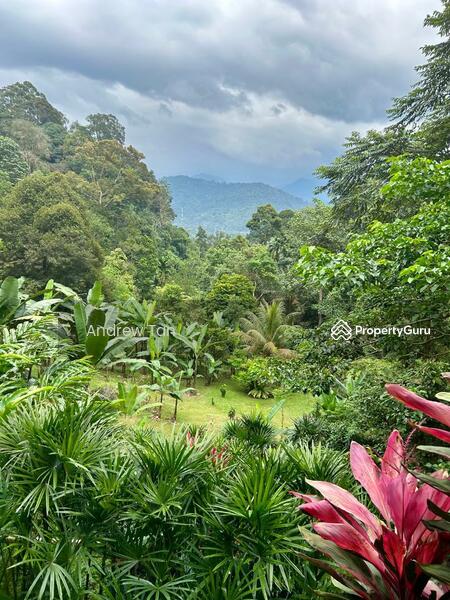 Untuk Dijual - Desa Ukay