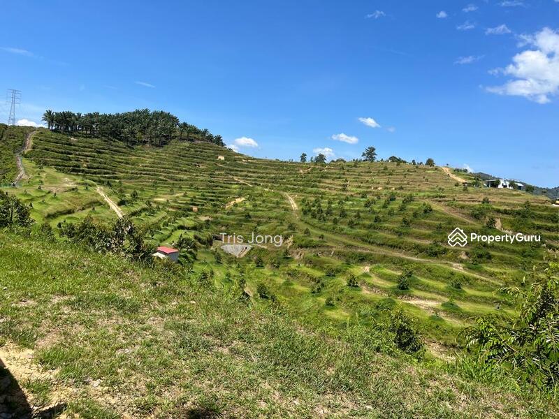 Untuk Dijual - Rasa