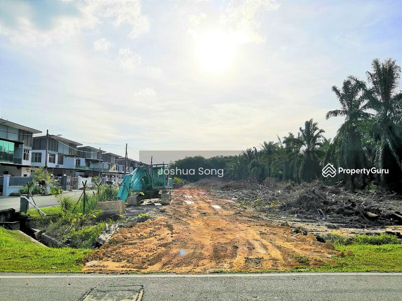 For Sale - Pekan Nana Pekans Nanas