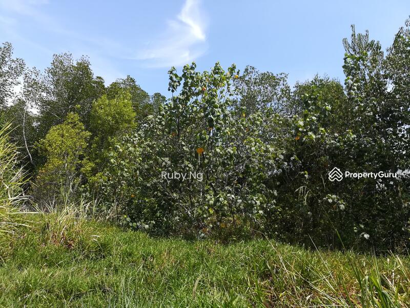 Untuk Dijual - Taman Tasik Semenyih