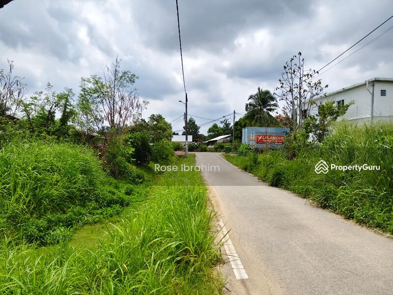 For Sale - Labu lanjut