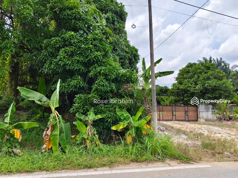 For Sale - Labu lanjut