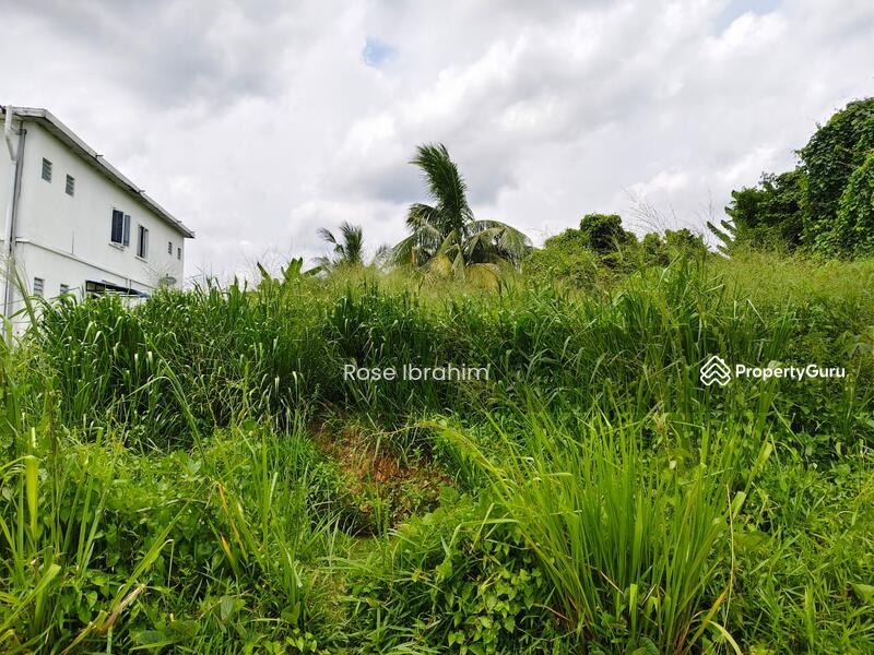 For Sale - Labu lanjut