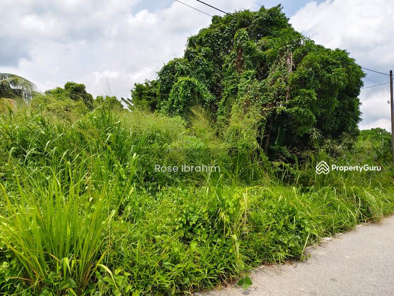 For Sale - Labu lanjut