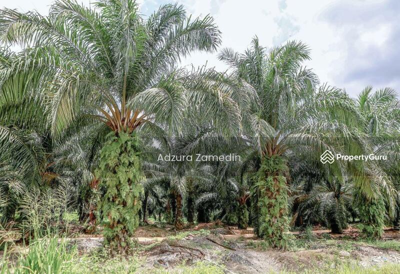 Untuk Dijual - Juasseh, Kuala Pilah, Negeri Sembilan