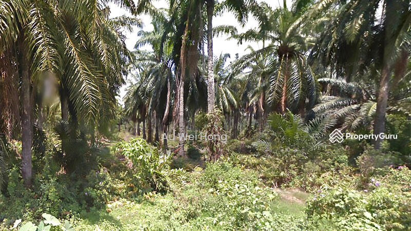 Untuk Dijual - Land for Sale @ Sungai Bakap – Prime Industrial Location