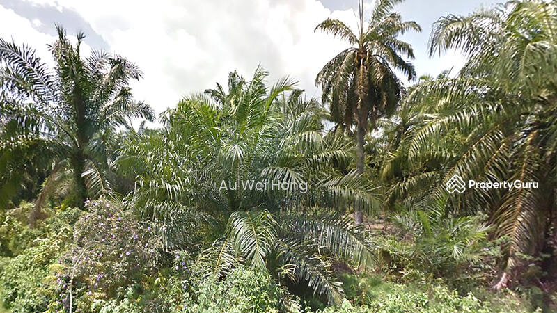 Untuk Dijual - Land for Sale @ Sungai Bakap – Prime Industrial Location