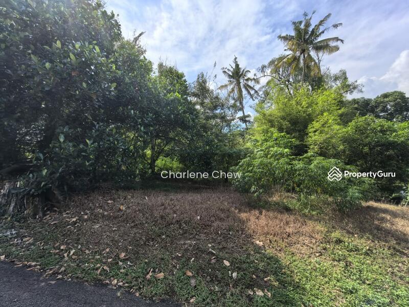 Untuk Dijual - Jalan Straits View