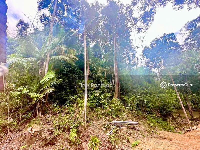 For Sale - Agricultural Land Janda Baik Bentong Pahang
