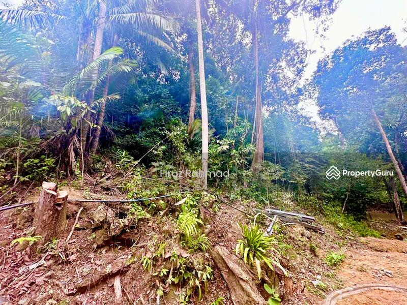 For Sale - Agricultural Land Janda Baik Bentong Pahang