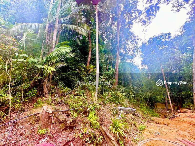 For Sale - Agricultural Land Janda Baik Bentong Pahang