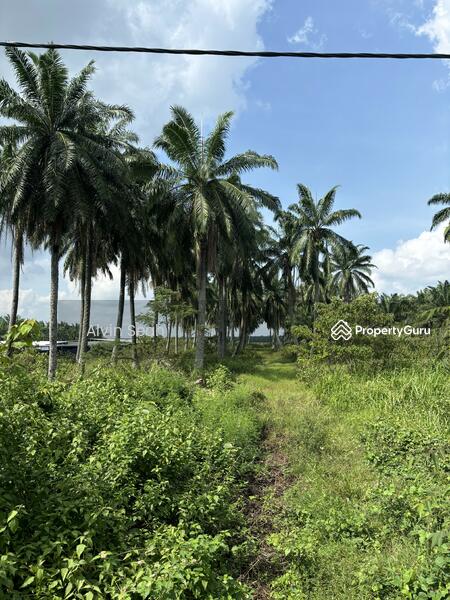Untuk Dijual - Raja Abdullah, Jeram, Kapar