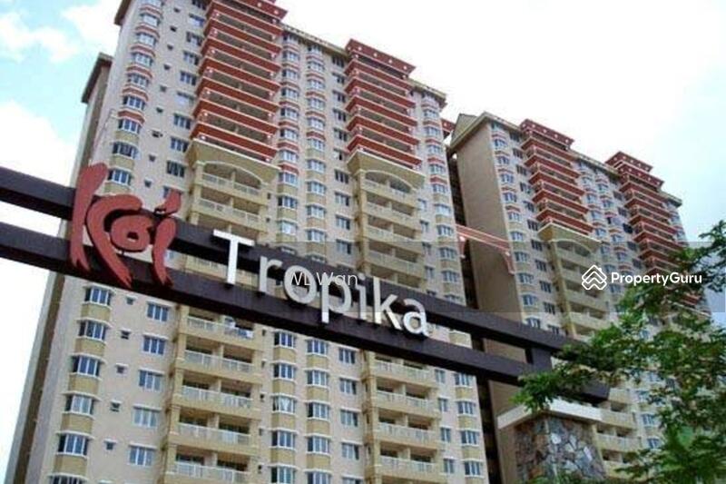 Untuk Dijual - Koi Tropika