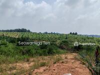 For Sale - (Zoning Industrial)46 Acre Agriculture Land At Machap，Ayer Hitam
