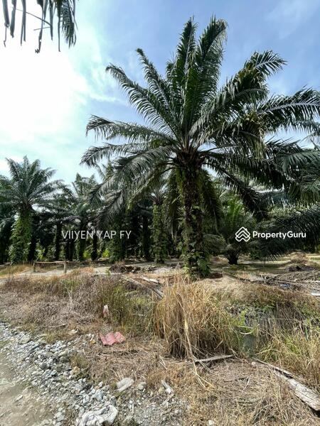 Untuk Dijual - johan setia agricultural land