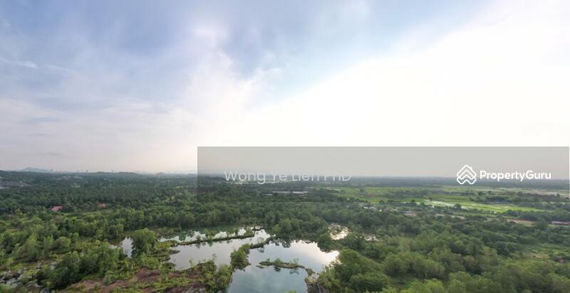www.drwongproperty.com