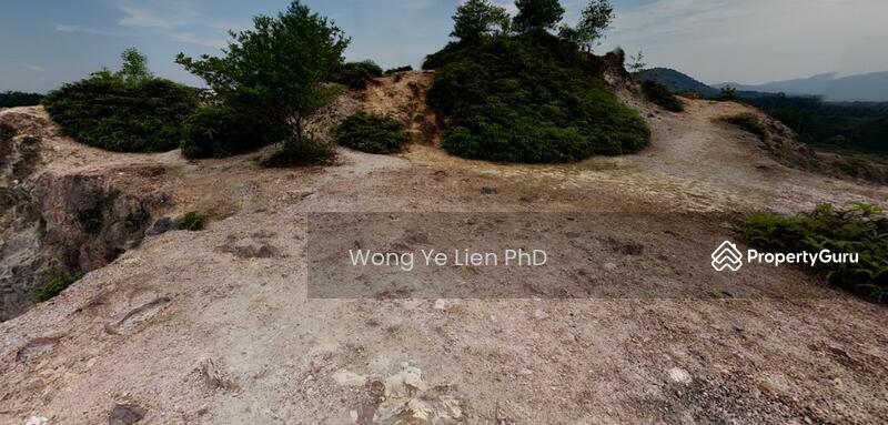 www.drwongproperty.com