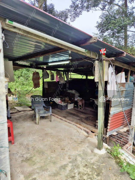 For Sale - 9.18 Acres Old Durian Garden | Taiping | Perak Rm69.19 b