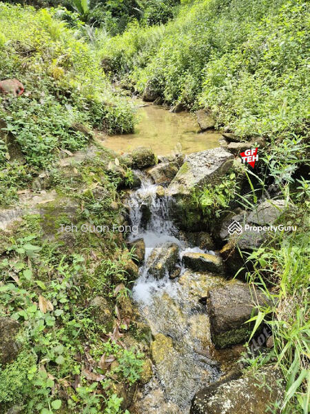 For Sale - 9.18 Acres Old Durian Garden | Taiping | Perak Rm69.19 b