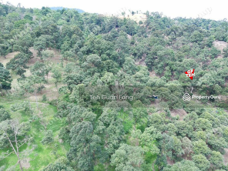 For Sale - 9.18 Acres Old Durian Garden | Taiping | Perak Rm69.19 b