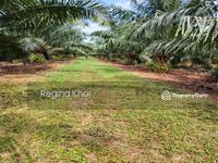 For Sale - Ladang Sungai Timah, Teluk Intan