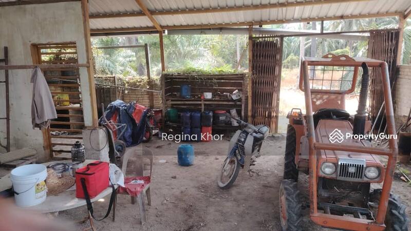 Untuk Dijual - Ladang Sungai Timah, Teluk Intan
