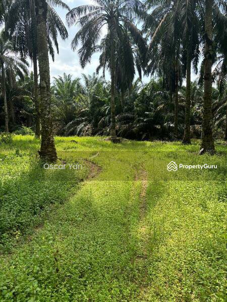 Tanah Perindustrian untuk Dijual di Taman Senai Jaya (Senai) - Oscar Yan - PropertyGuru.com.my