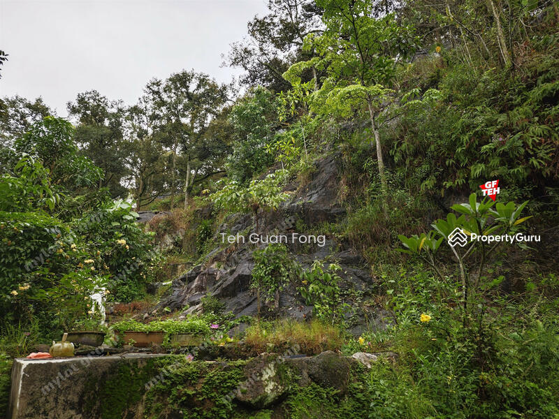 Agricultural Land for Sale in Berapit (Bukit Mertajam) - Teh Guan Fong - PropertyGuru.com.my