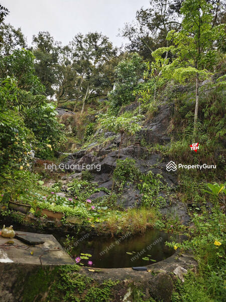 Agricultural Land for Sale in Berapit (Bukit Mertajam) - Teh Guan Fong - PropertyGuru.com.my