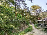 For Sale - 12.61 acres Durian Farm | Mengkuang | Bukit Mertajam | Penang Rm17psf