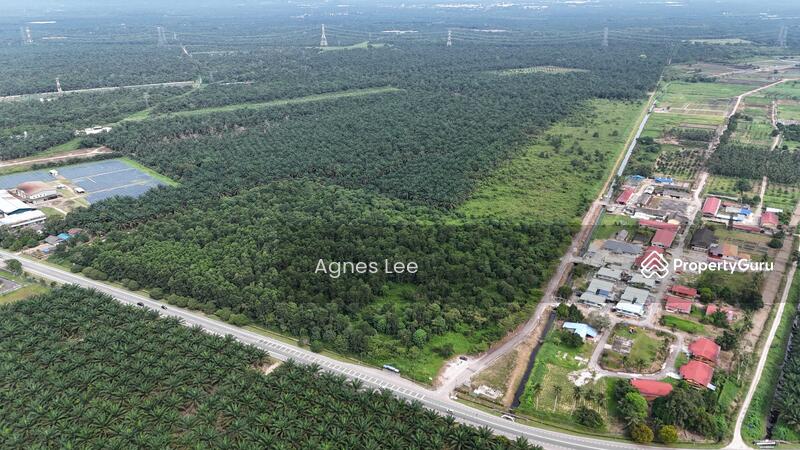 For Sale - 笨珍
