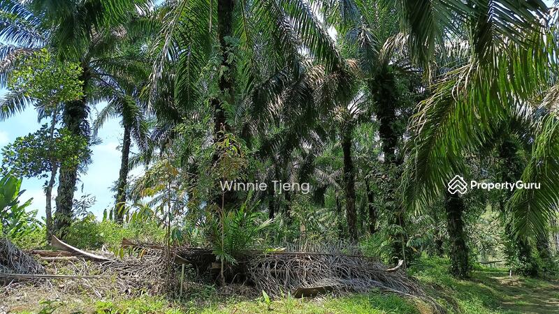 Untuk Dijual - Tanjung Malim, Sungai Bil