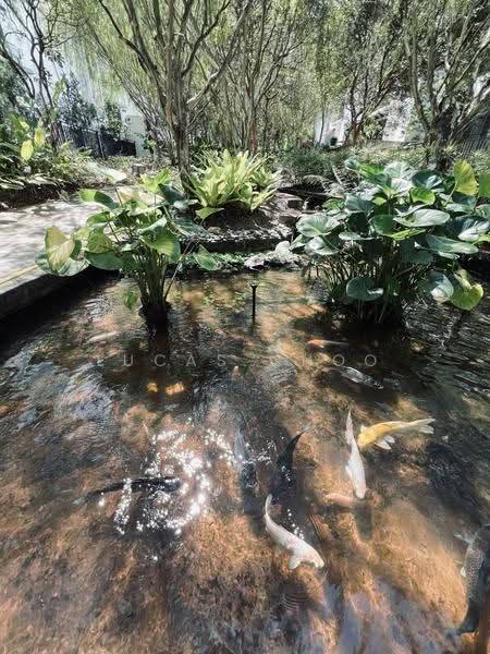 2.5-storey Terraced House for Sale in Ampang (Kuala Lumpur) - Lucas Choo - Garden - PropertyGuru.com.my