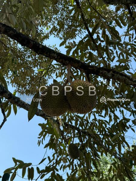 Untuk Dijual - Banang Jaya Agriculture Land