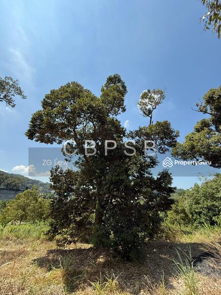 Untuk Dijual - Banang Jaya Agriculture Land