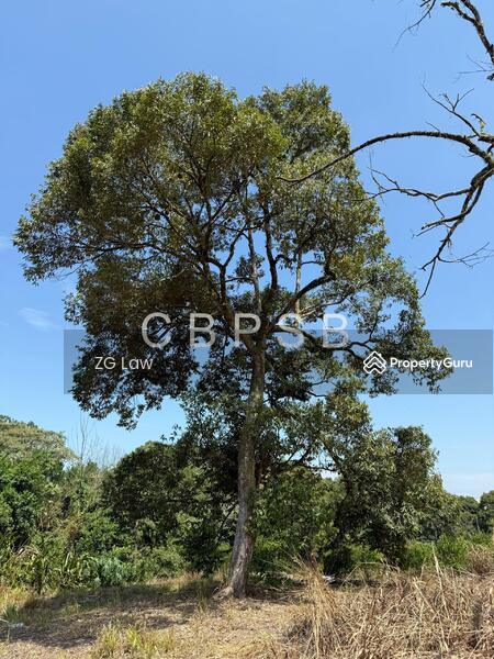 Untuk Dijual - Banang Jaya Agriculture Land