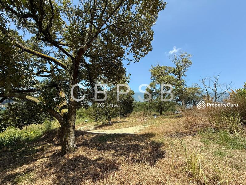 Untuk Dijual - Banang Jaya Agriculture Land