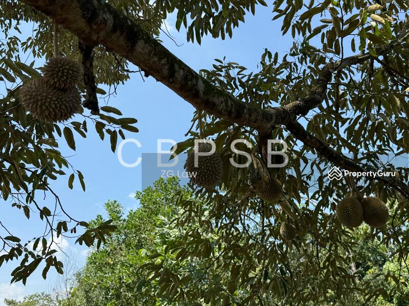 Untuk Dijual - Banang Jaya Agriculture Land