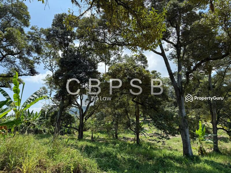 Untuk Dijual - Banang Jaya Agriculture Land