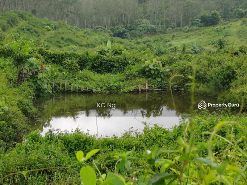 Untuk Dijual - Gerik Perak Agricultural Land For Sale.
