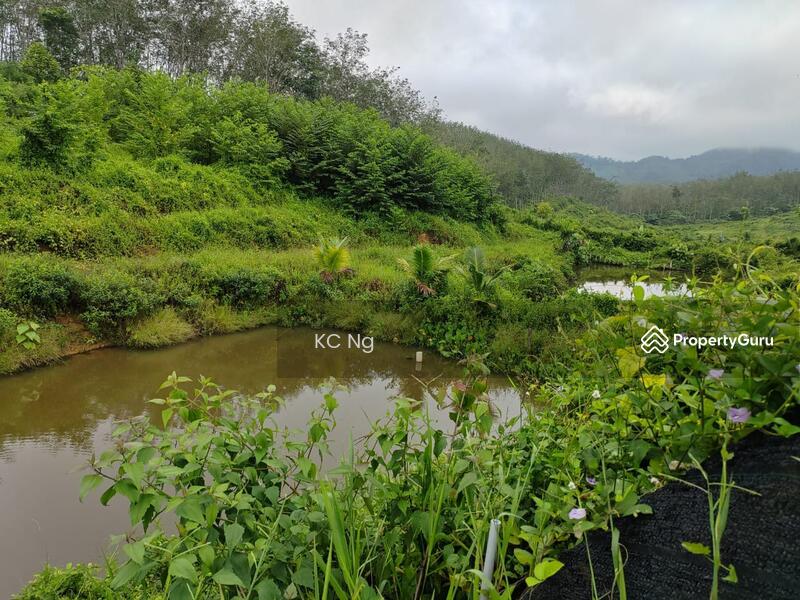 Untuk Dijual - Gerik Perak Agricultural Land For Sale.