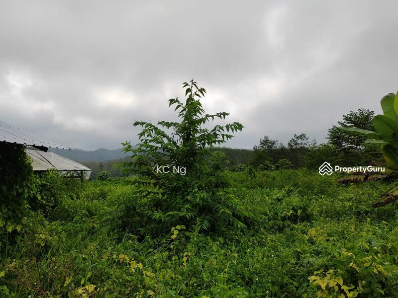 Untuk Dijual - Gerik Perak Agricultural Land For Sale.